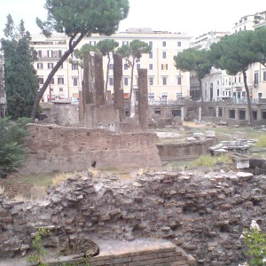 Řím 2008 S7001676.1