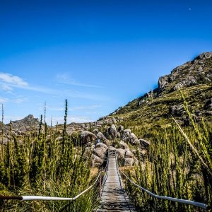 Parque Nacional Itatiaia 2017